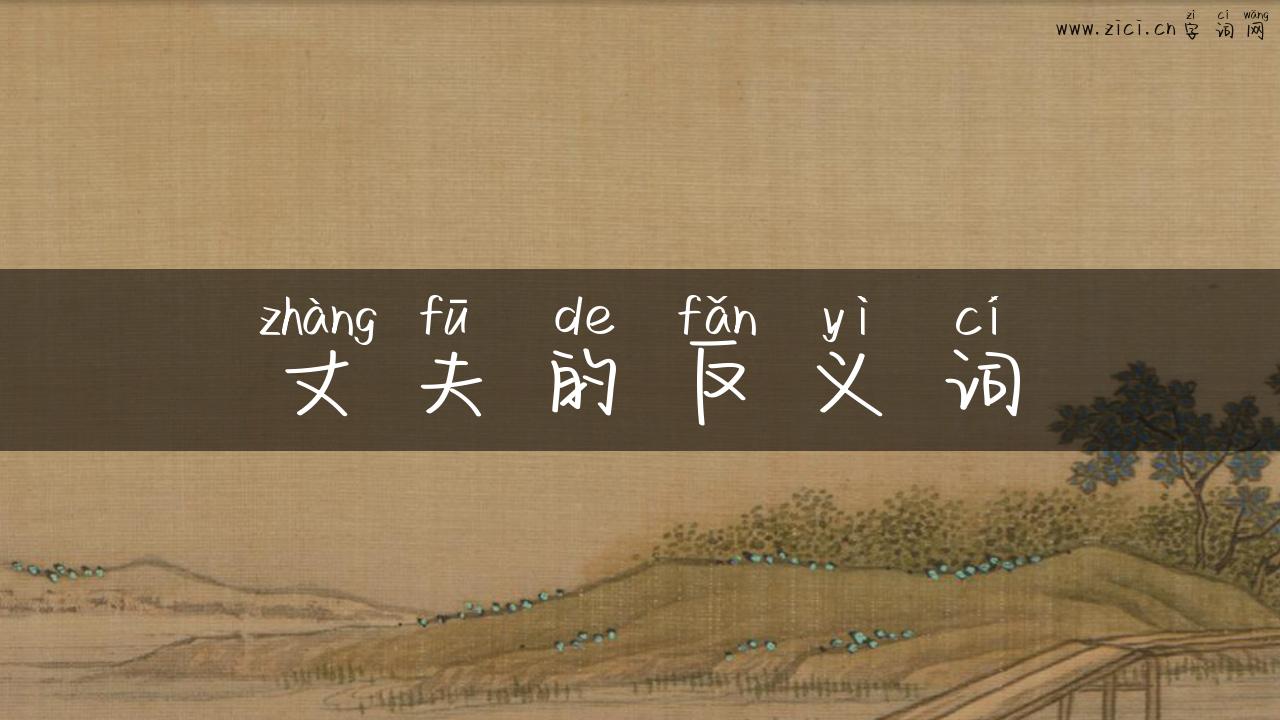 丈夫的反义词