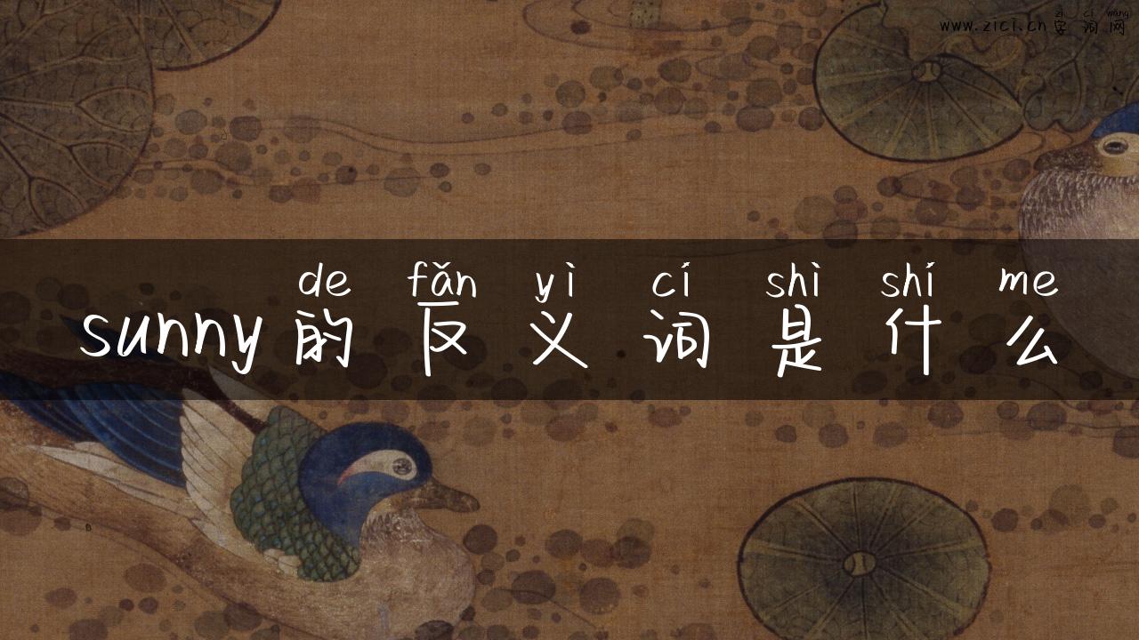 sunny的反义词是什么