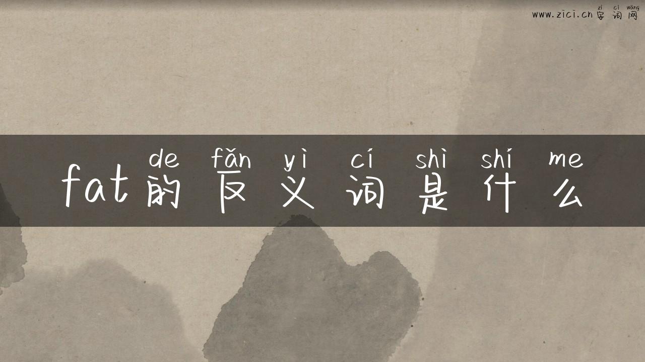fat的反义词是什么