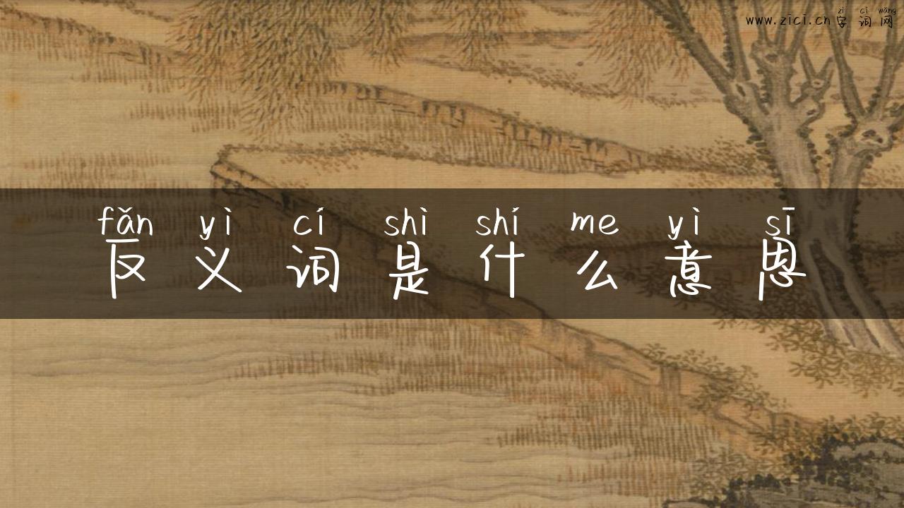 反义词是什么意思
