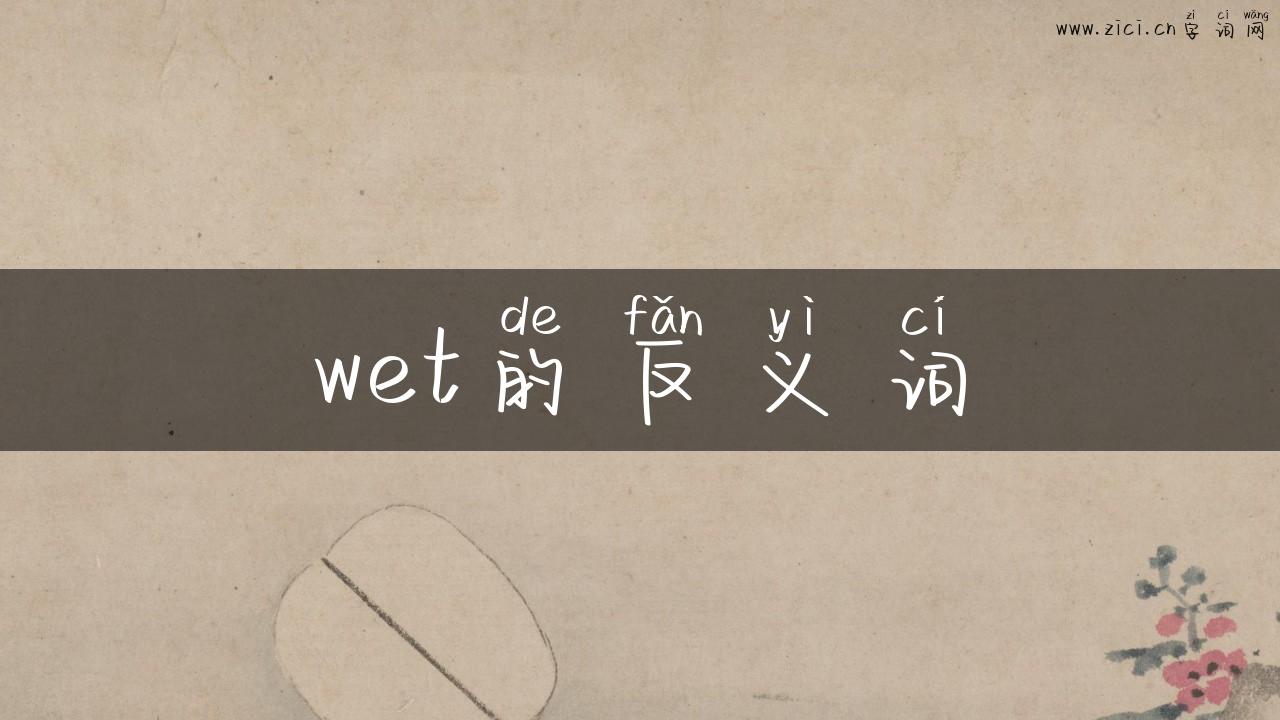 wet的反义词