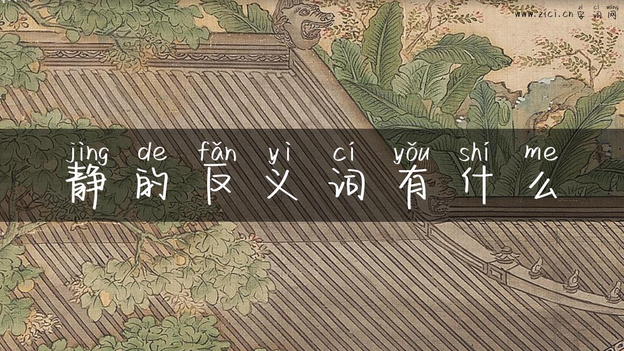 静的反义词有什么