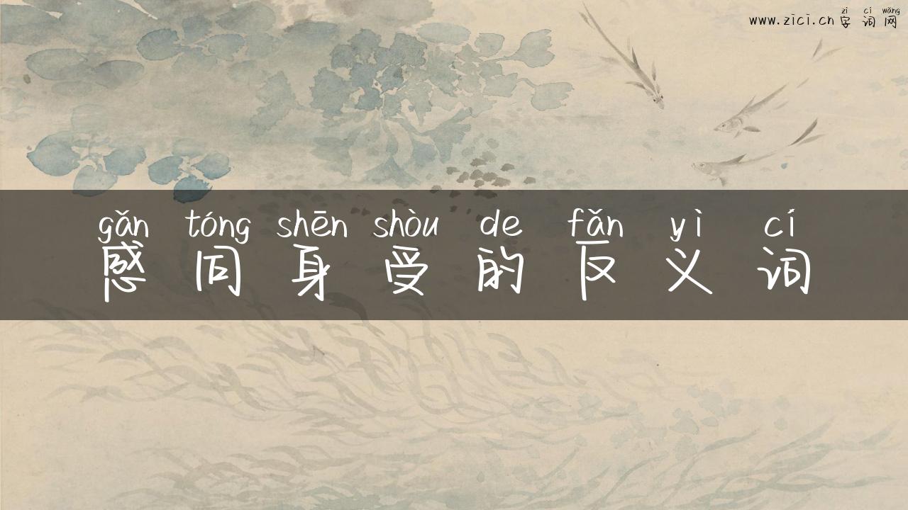 感同身受的反义词