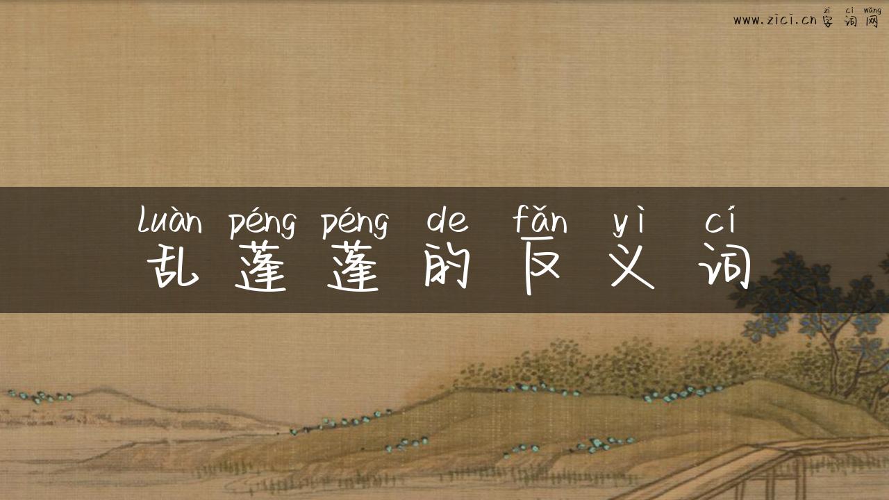 乱蓬蓬的反义词