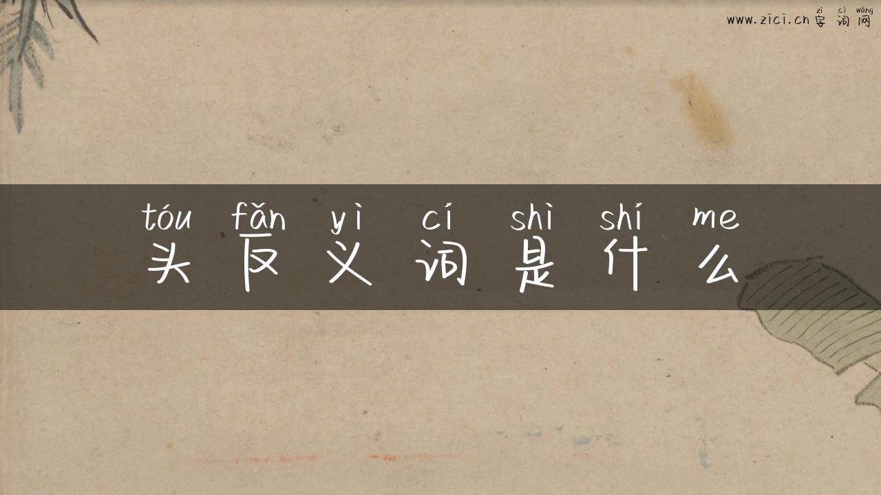 头反义词是什么