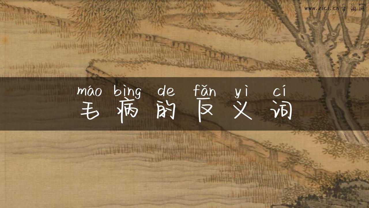 毛病的反义词