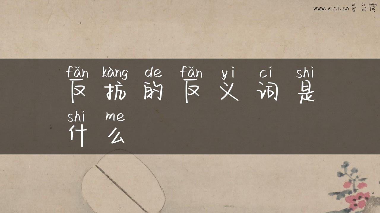 反抗的反义词是什么