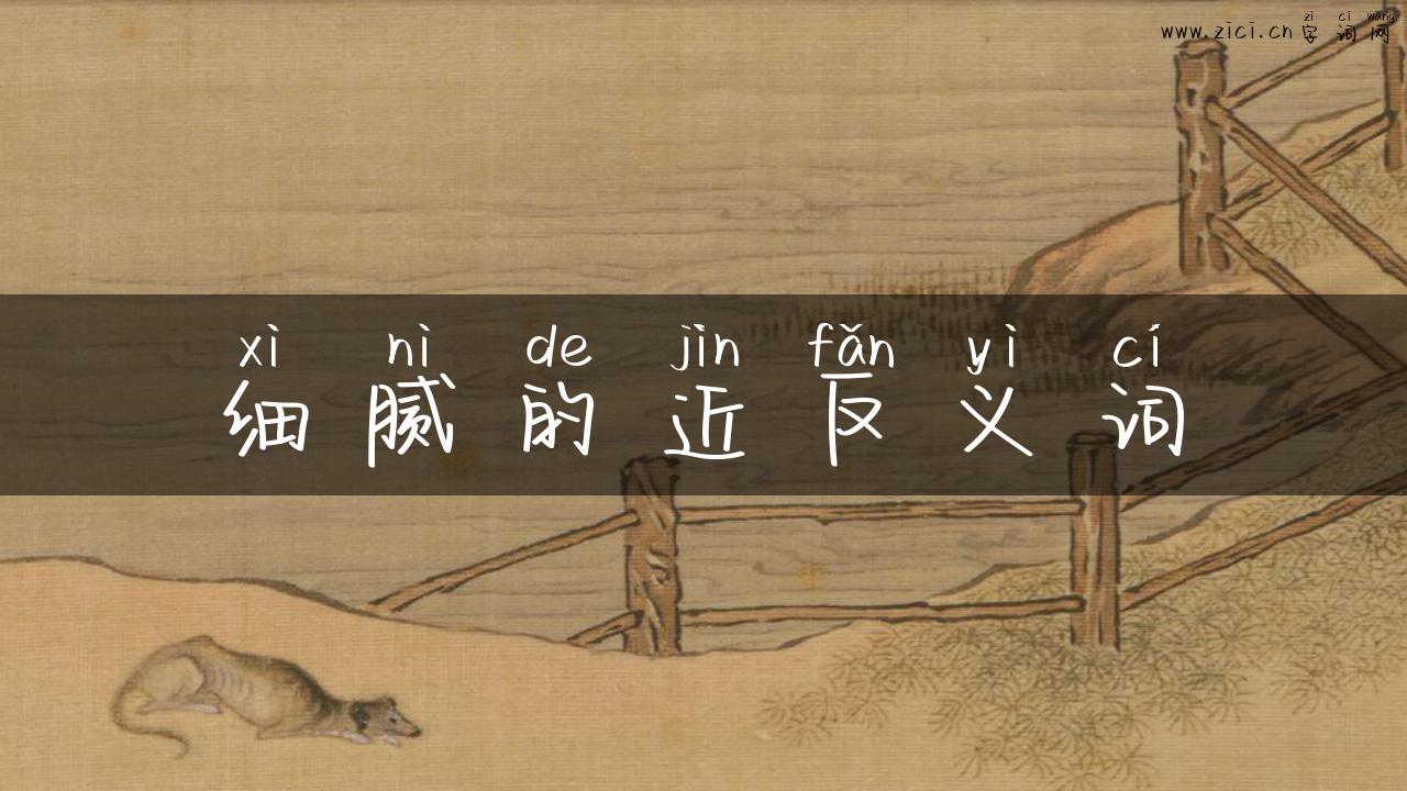 细腻的近反义词