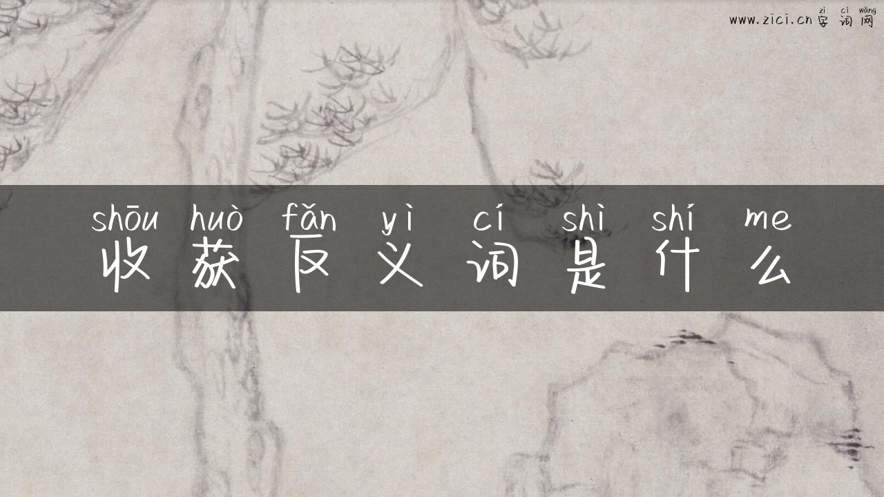 收获反义词是什么