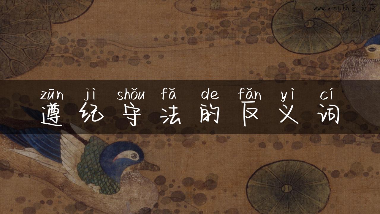 遵纪守法的反义词