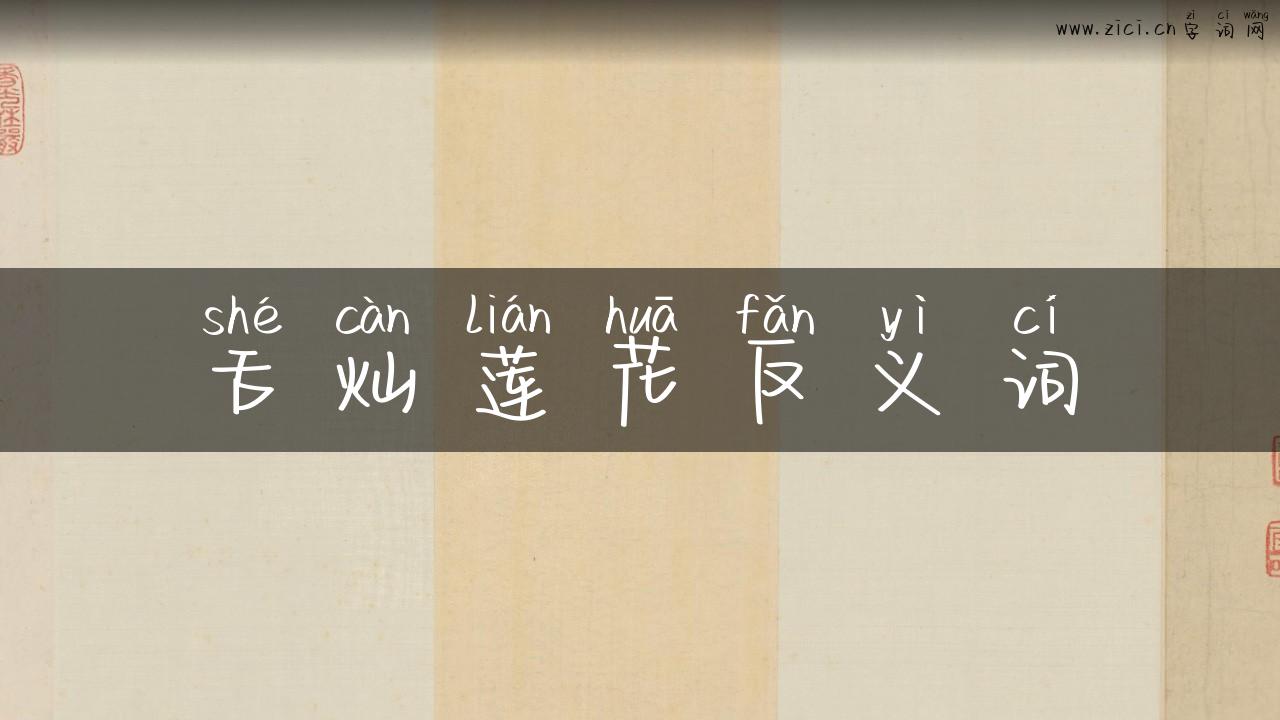 舌灿莲花反义词
