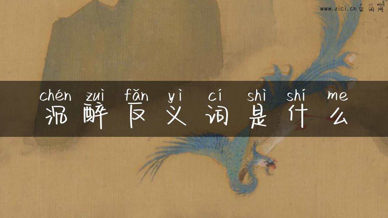 沉醉反义词是什么