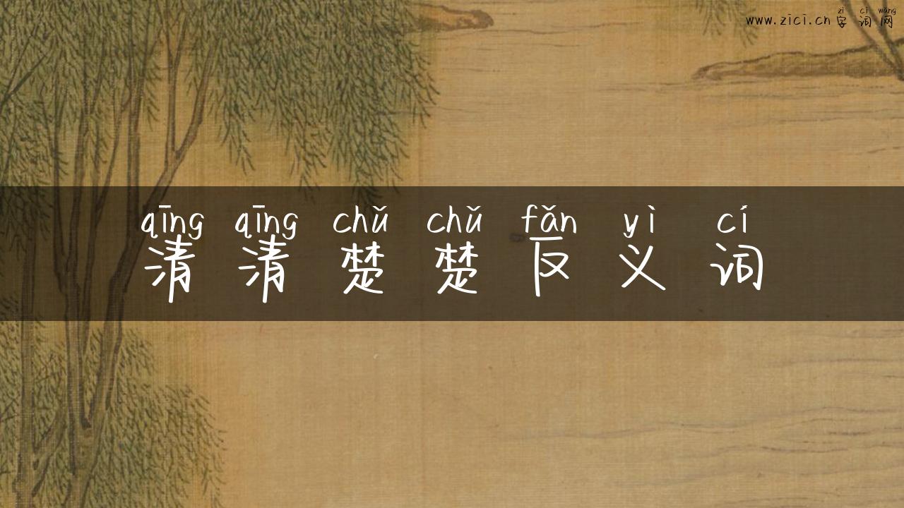 清清楚楚反义词