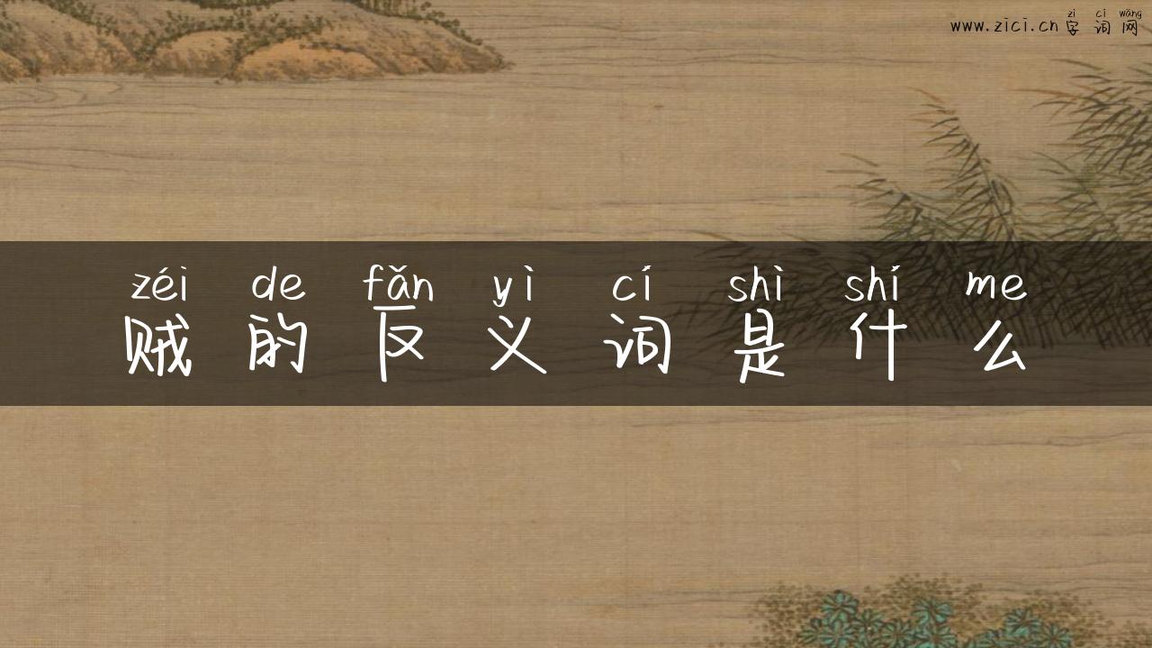 贼的反义词是什么