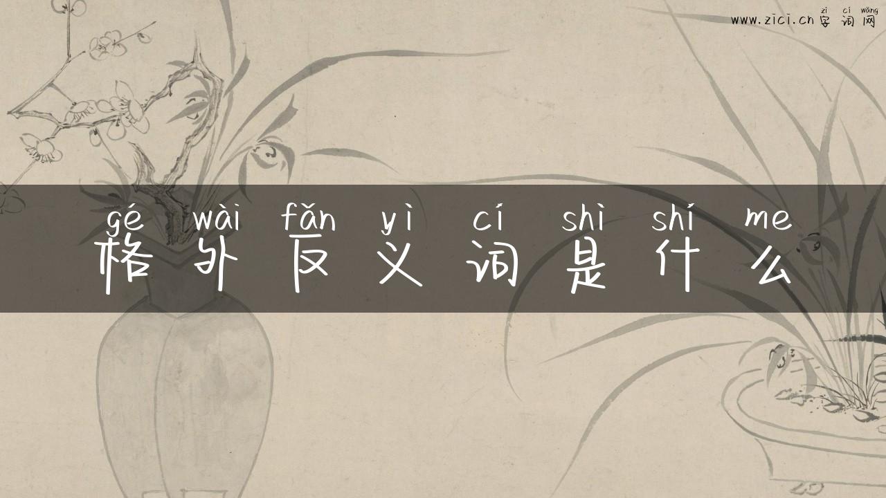 格外反义词是什么