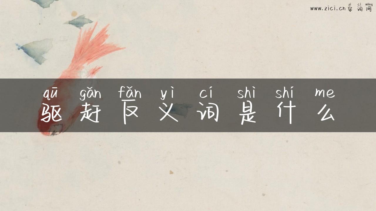 驱赶反义词是什么