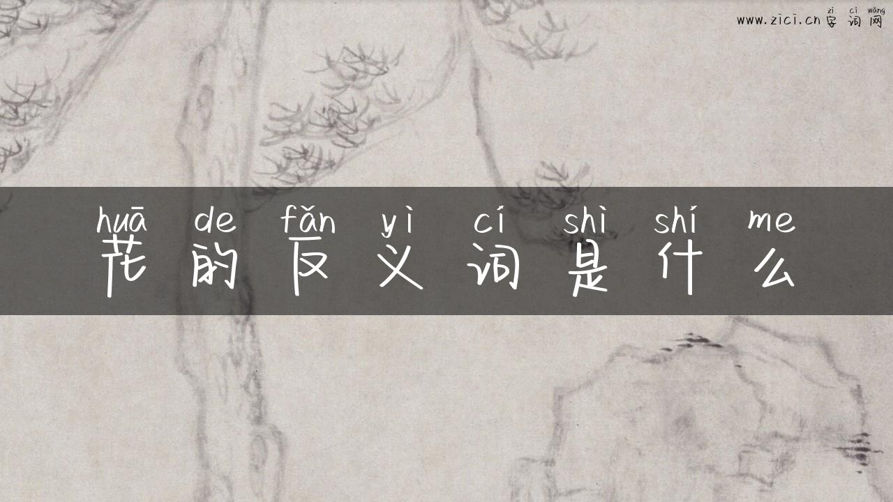 花的反义词是什么