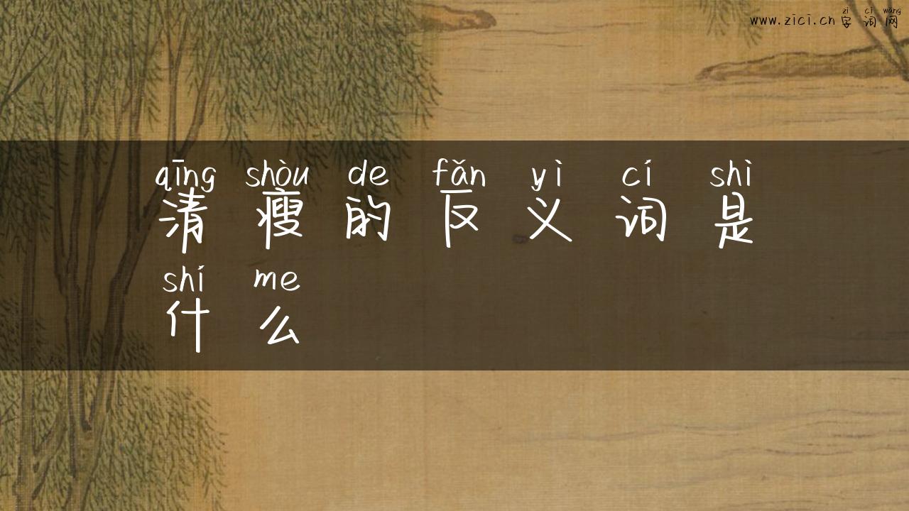 清瘦的反义词是什么