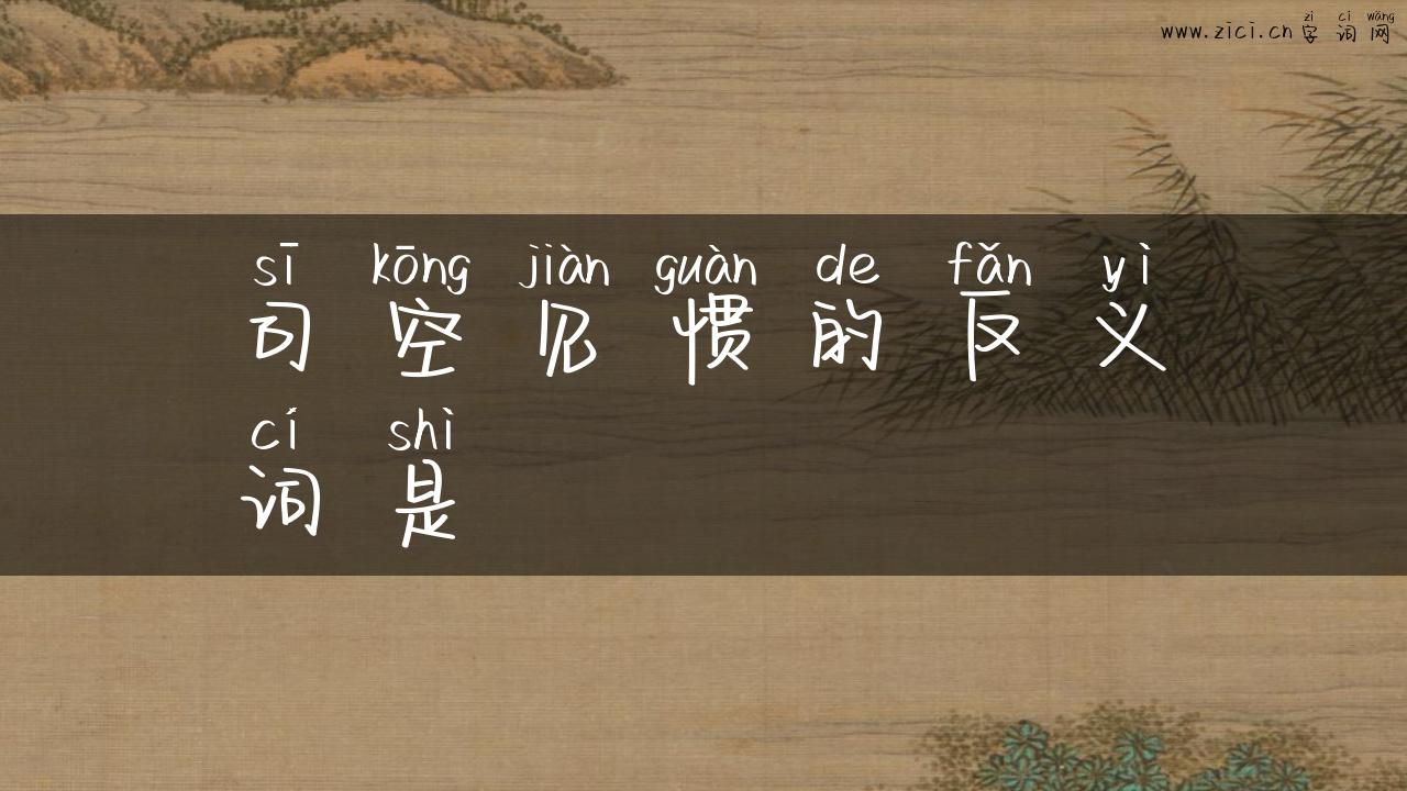 司空见惯的反义词是