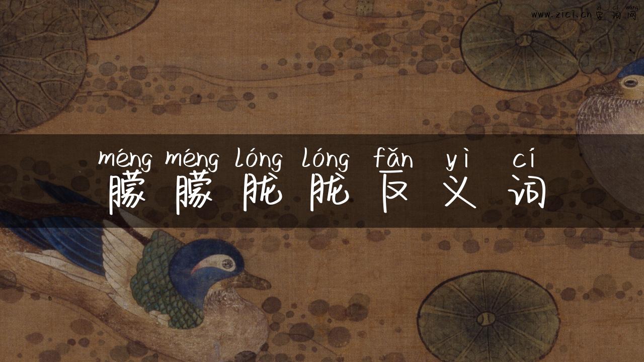 朦朦胧胧反义词