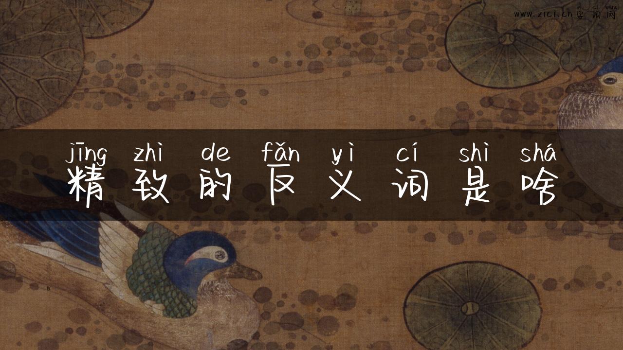 精致的反义词是啥