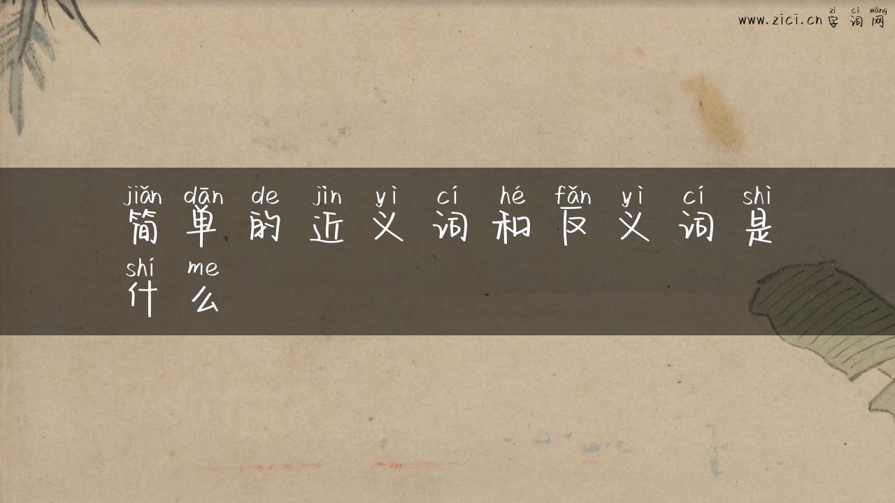 简单的近义词和反义词是什么