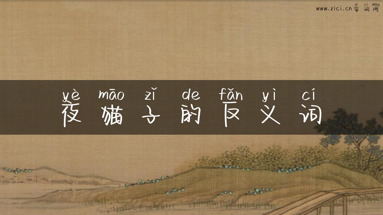 夜猫子的反义词