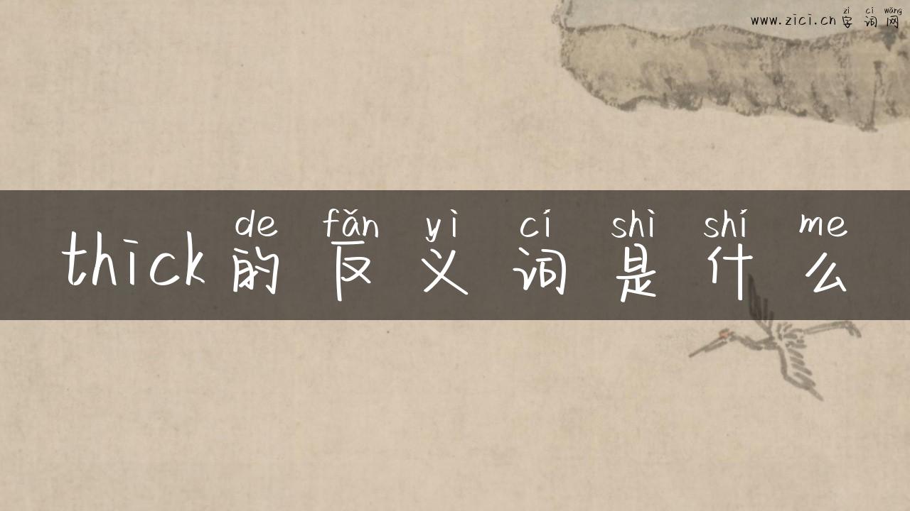 thick的反义词是什么