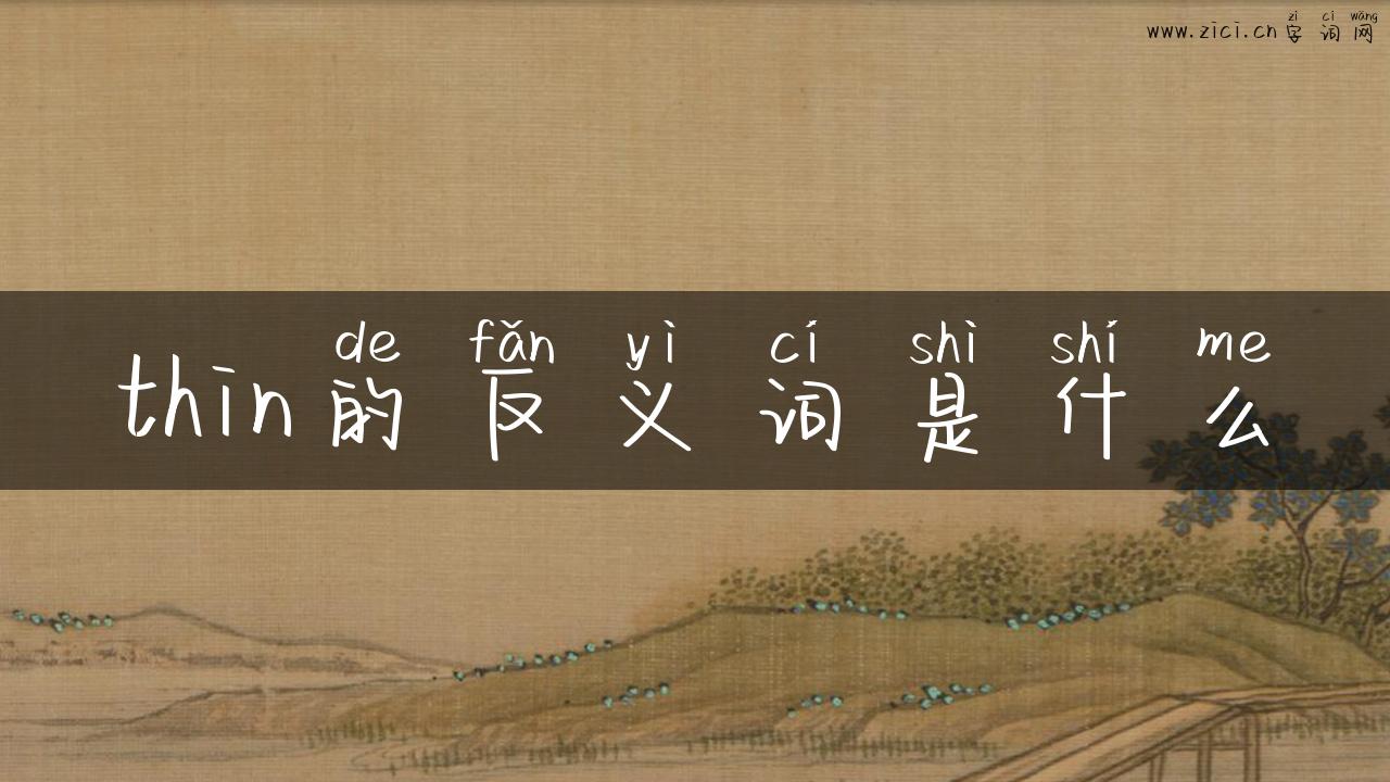 thin的反义词是什么