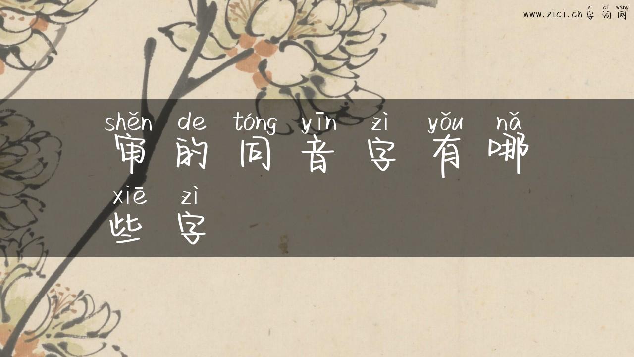 审的同音字有哪些字