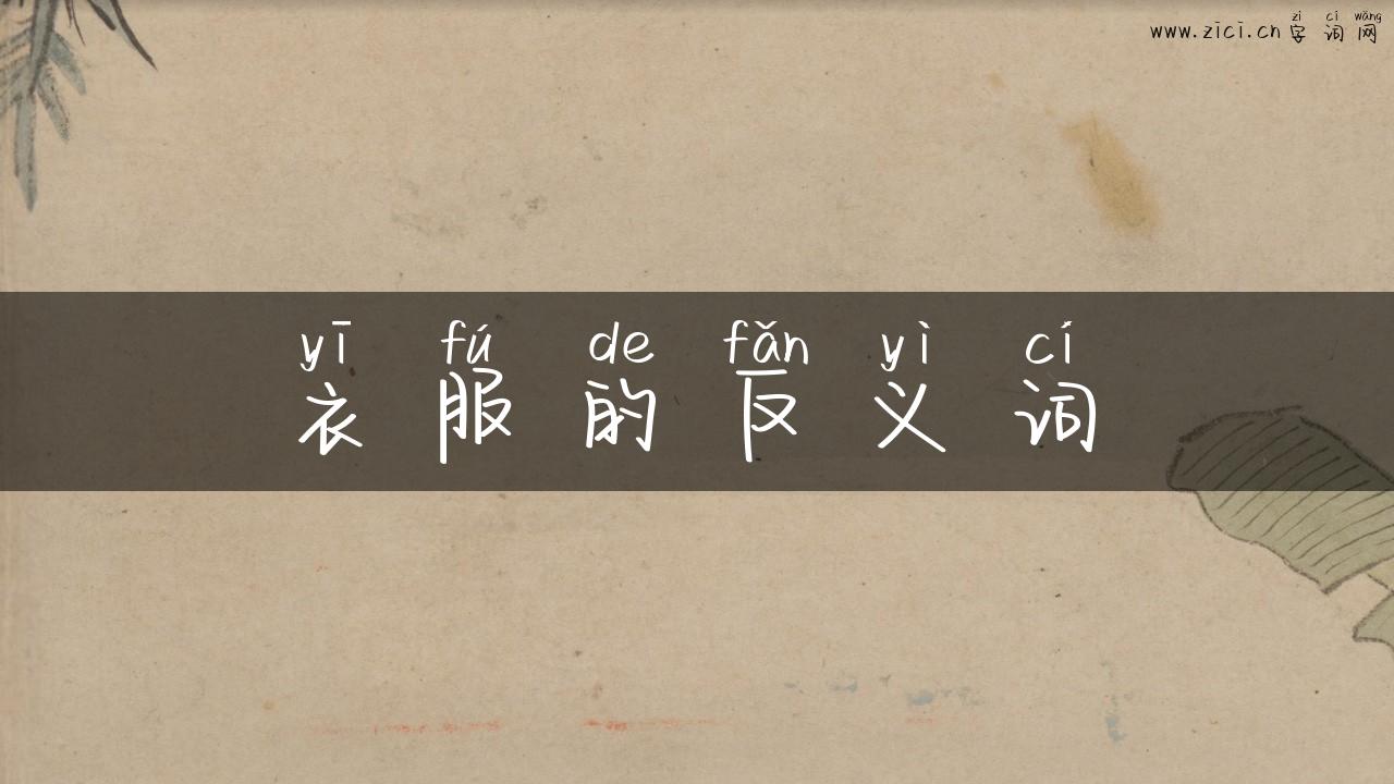 衣服的反义词