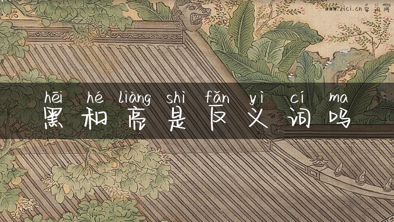 黑和亮是反义词吗