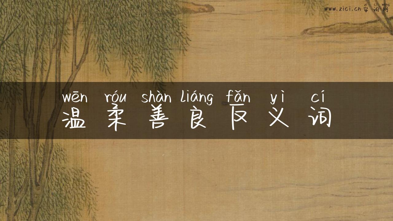 温柔善良反义词