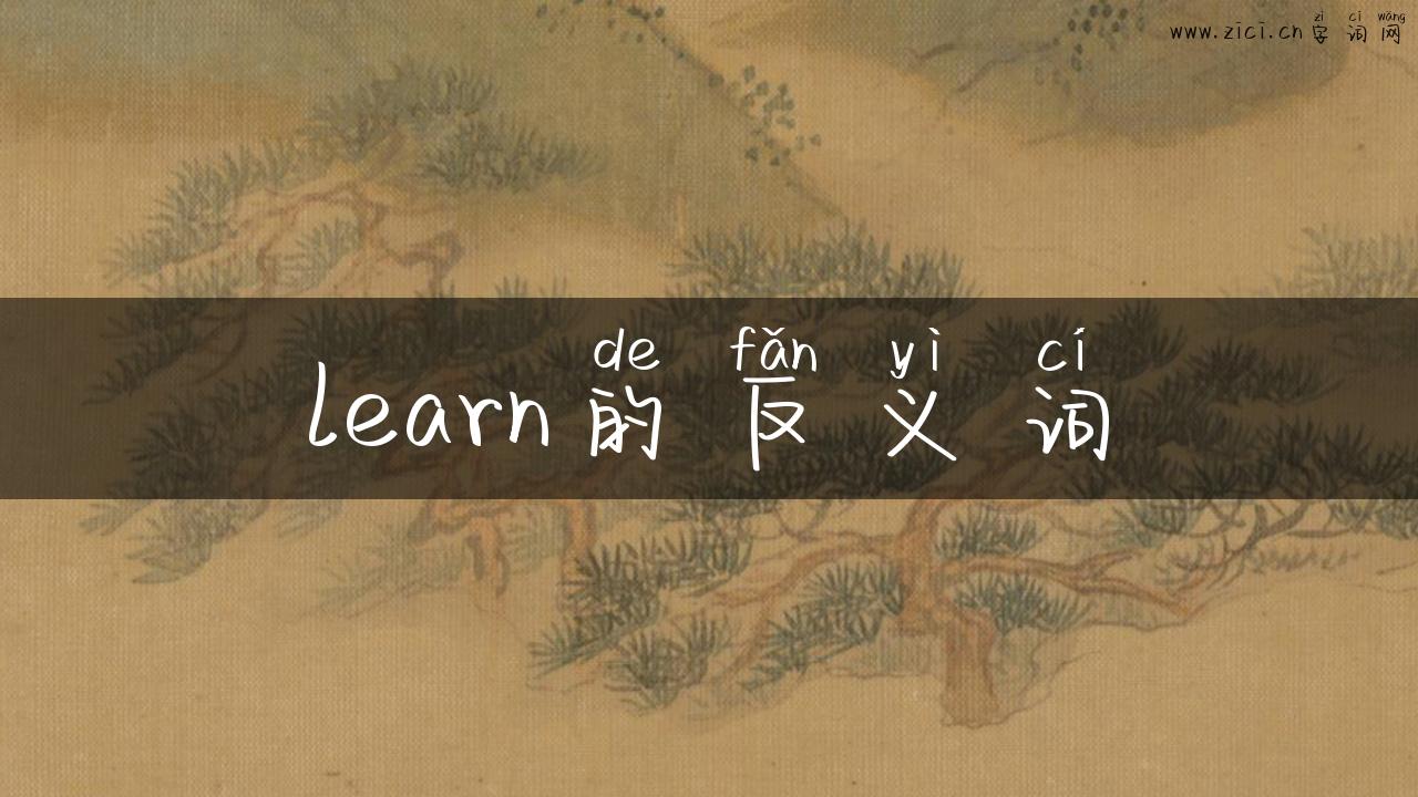 learn的反义词