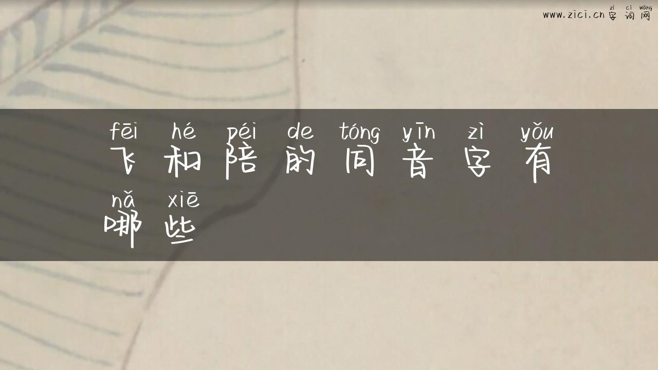 飞和陪的同音字有哪些
