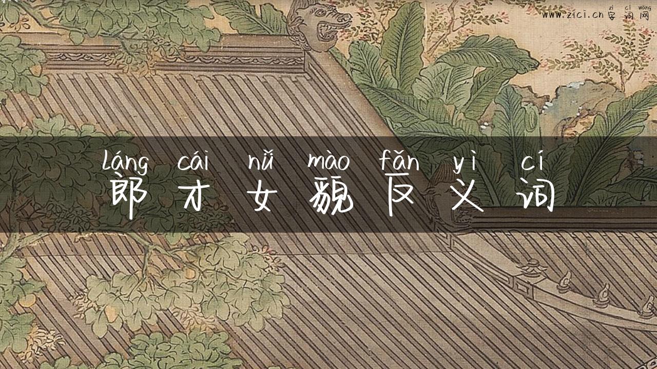 郎才女貌反义词