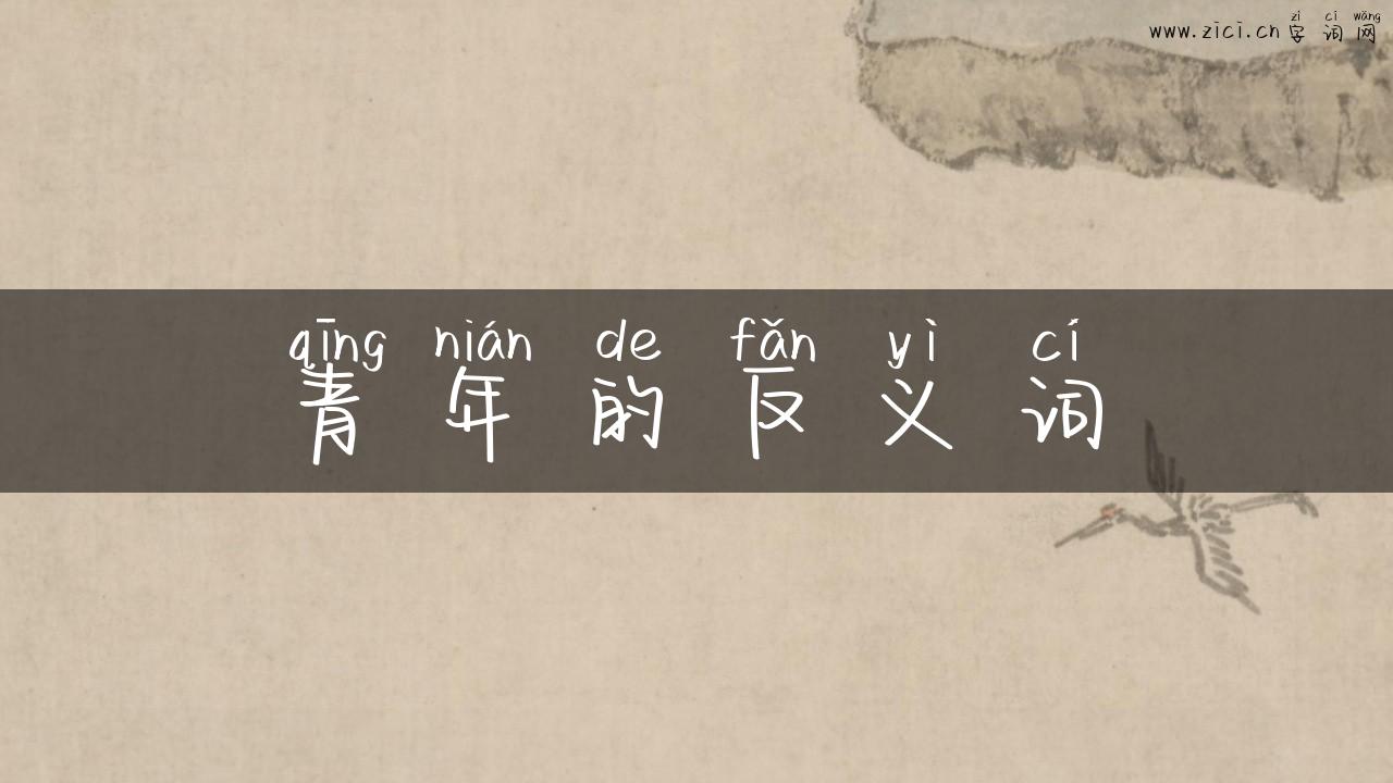 青年的反义词