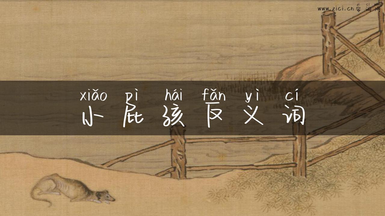 小屁孩反义词