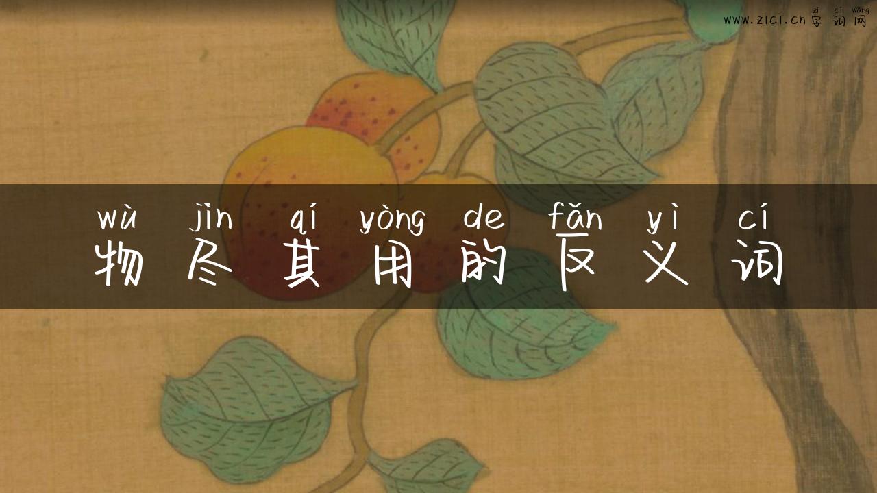 物尽其用的反义词