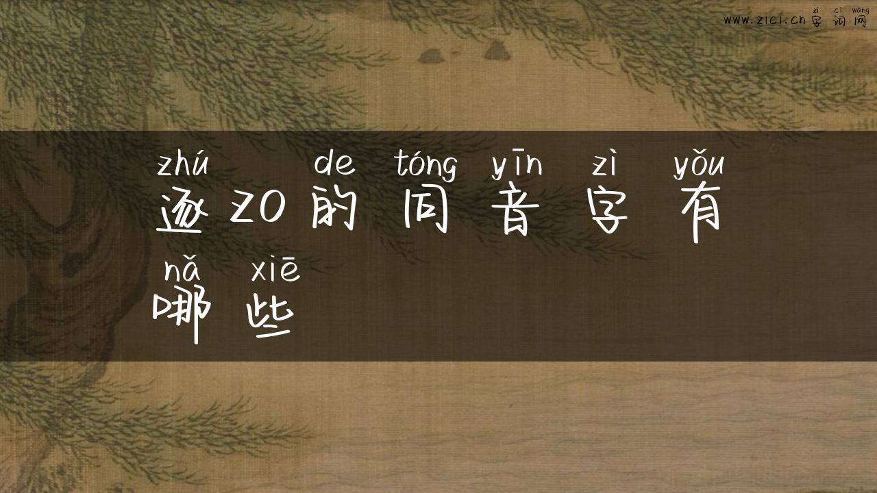 逐zo的同音字有哪些