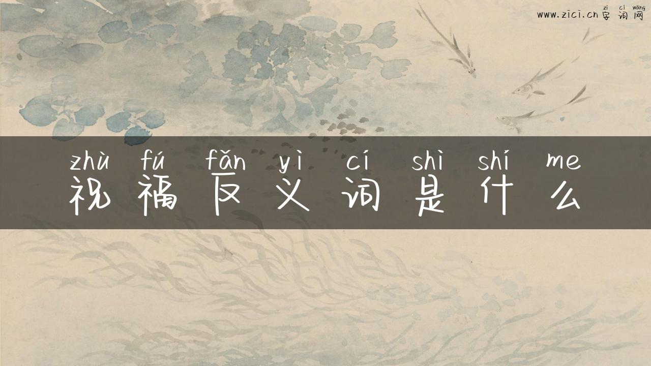 祝福反义词是什么