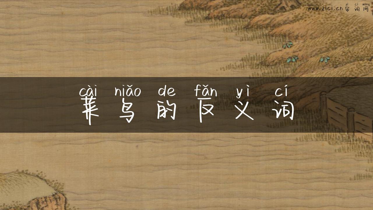 菜鸟的反义词