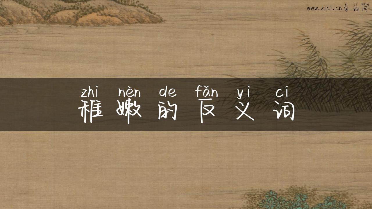 稚嫩的反义词