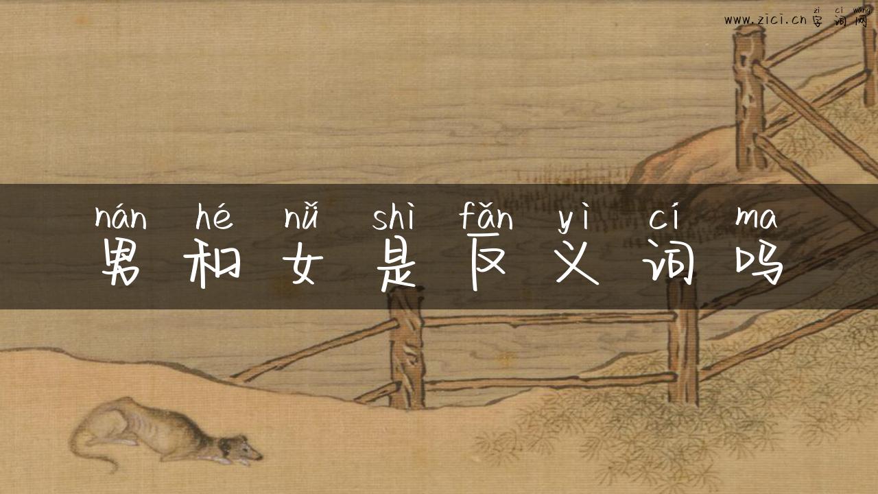 男和女是反义词吗