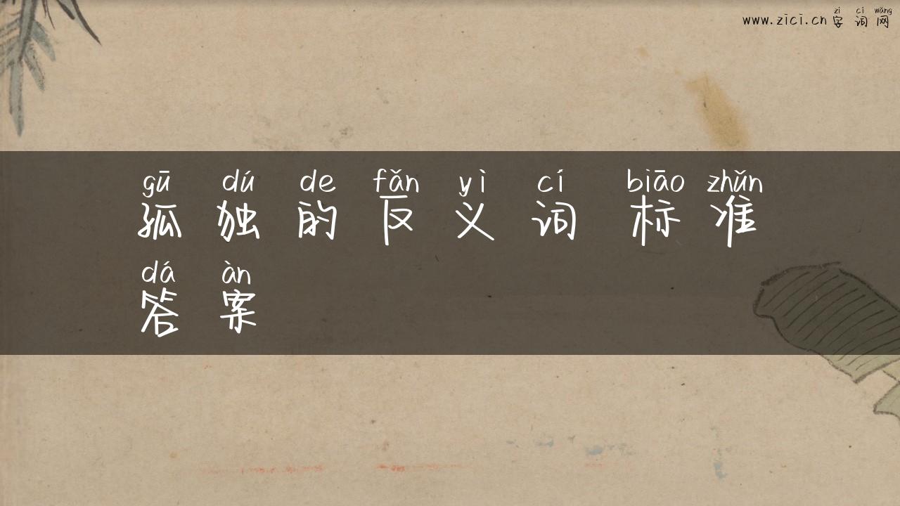 孤独的反义词 标准答案