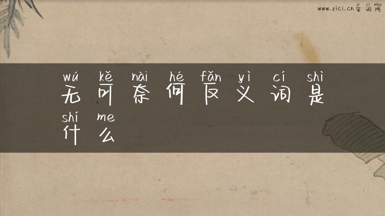 无可奈何反义词是什么
