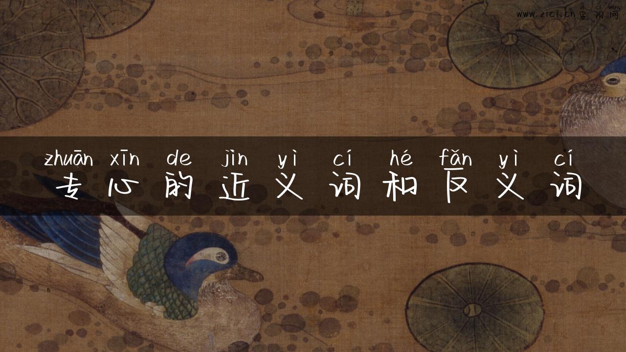 专心的近义词和反义词