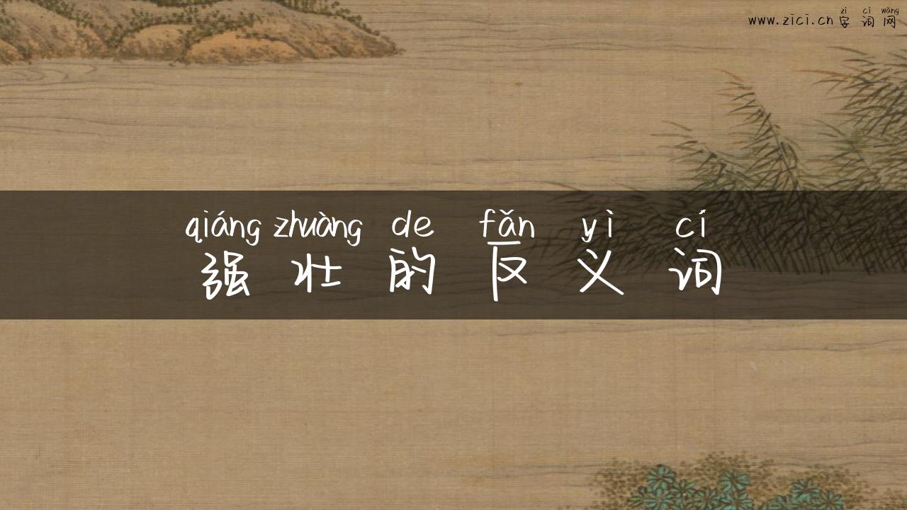 强壮的反义词