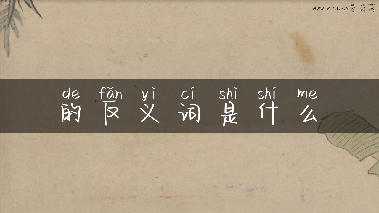 的反义词是什么