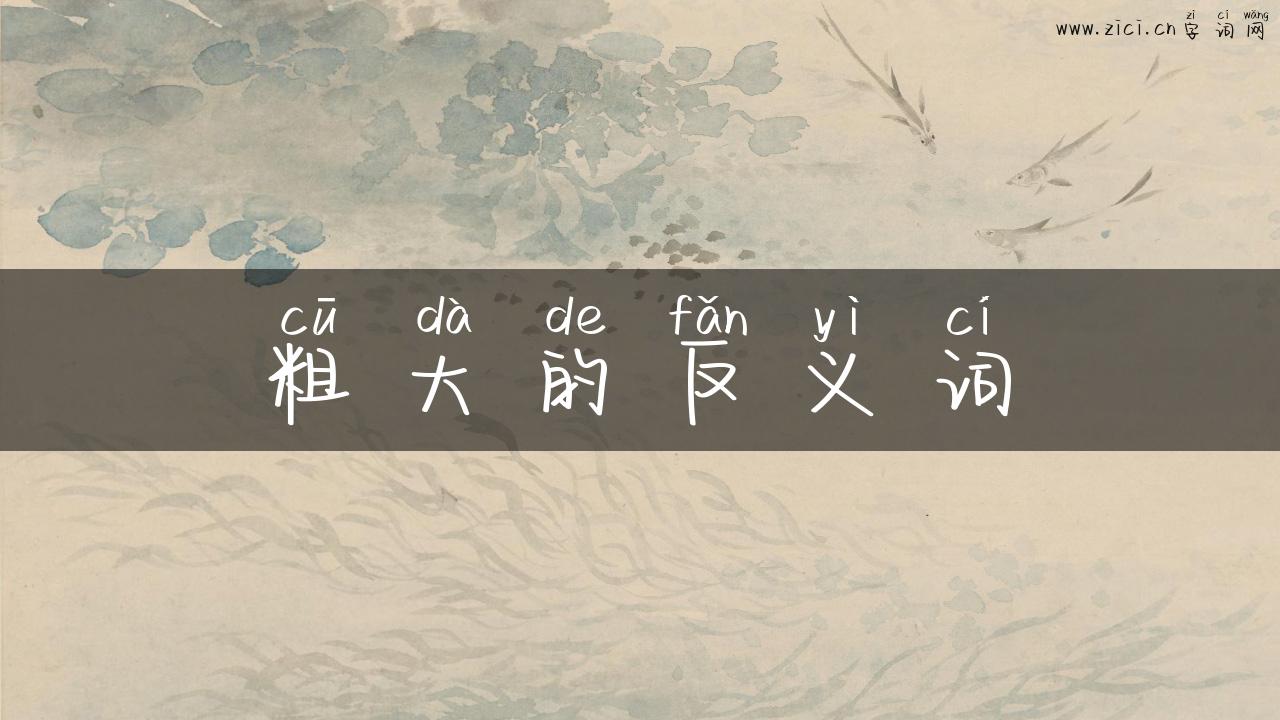 粗大的反义词